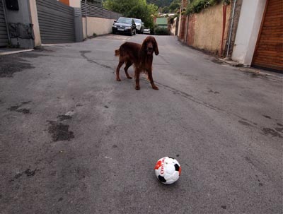 Chutarle una pelota a Mel #1