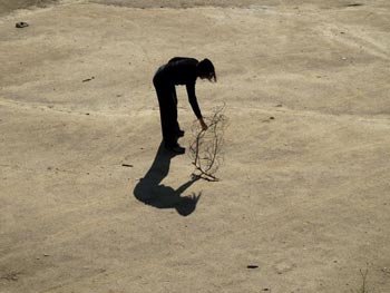 Colección de otoño #2 Colección de otoño #2