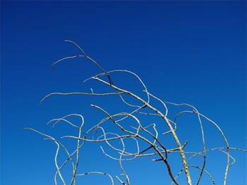 Colección de otoño #4 Colección de otoño #4