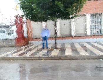 Colección de otoño #6 Colección de otoño #6