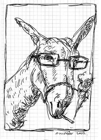 Croquis de burro Croquis de burro