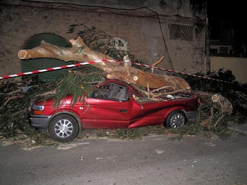 Maldito viento
