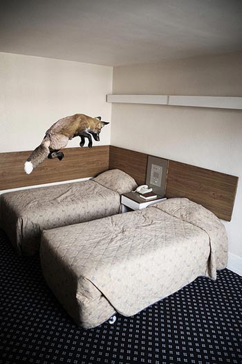 Mikel Uribetxeberria #1 Mikel Uribetxeberria #1